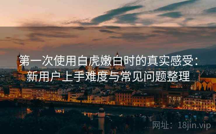 第一次使用白虎嫩白时的真实感受：新用户上手难度与常见问题整理