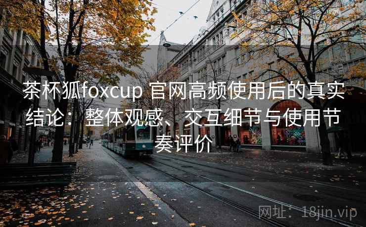茶杯狐foxcup 官网高频使用后的真实结论：整体观感、交互细节与使用节奏评价