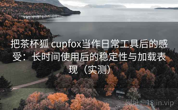 把茶杯狐 cupfox当作日常工具后的感受：长时间使用后的稳定性与加载表现（实测）