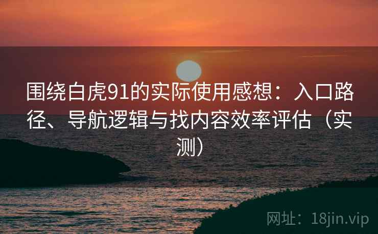 围绕白虎91的实际使用感想：入口路径、导航逻辑与找内容效率评估（实测）