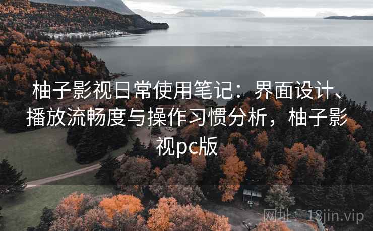 柚子影视日常使用笔记：界面设计、播放流畅度与操作习惯分析，柚子影视pc版