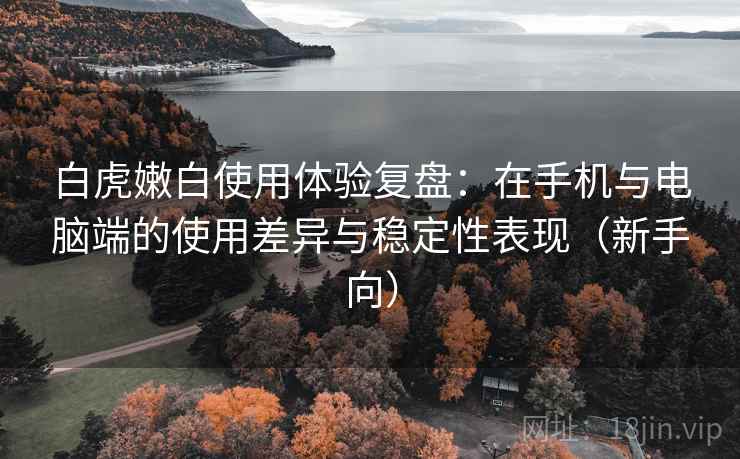 白虎嫩白使用体验复盘：在手机与电脑端的使用差异与稳定性表现（新手向）