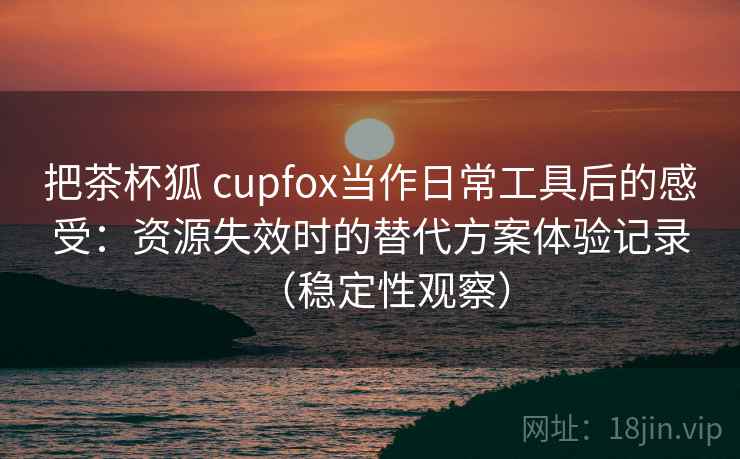 把茶杯狐 cupfox当作日常工具后的感受：资源失效时的替代方案体验记录（稳定性观察）