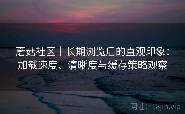 蘑菇社区｜长期浏览后的直观印象：加载速度、清晰度与缓存策略观察