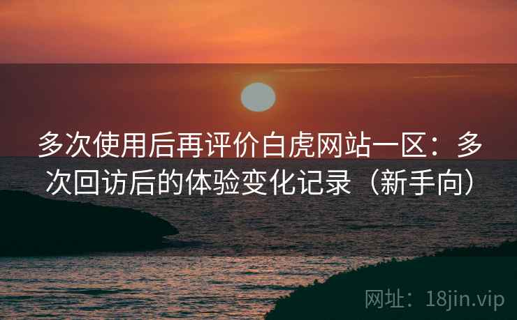 多次使用后再评价白虎网站一区：多次回访后的体验变化记录（新手向）