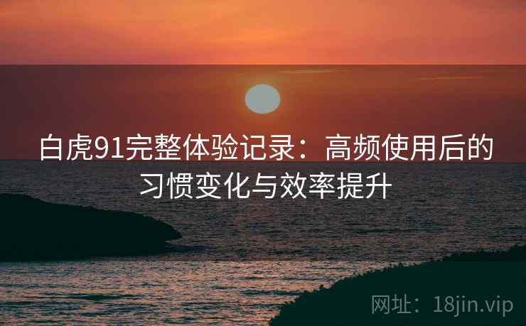白虎91完整体验记录：高频使用后的习惯变化与效率提升
